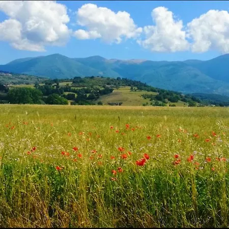 Casa Per Ferie Metamorphosi 3*