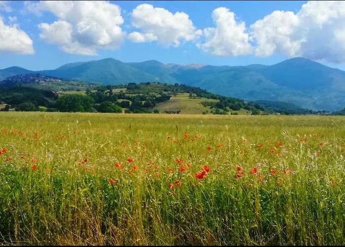 Casa Per Ferie Metamorphosi 3*